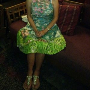 Anthropologie Dresses - Anthopologie tracy reese revisited impressionist Anthropologie Dresses - Anthopologie tracy reese revisited impressionist